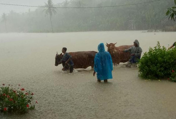 3 DESA TERENDAM BANJIR DI TEMPUREJO, RIBUAN WARGA MENGUNGSI