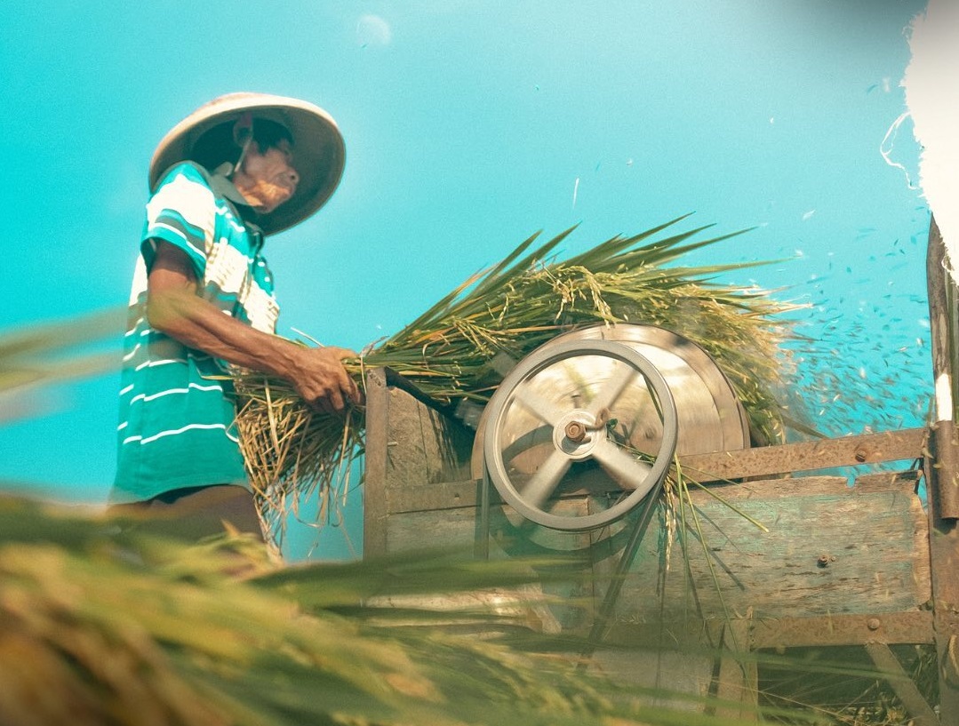 HARGA BERAS DAN GABAH NAIK, BULOG JEMBER AKUI CUKUP BERAT LAKUKAN PENGADAAN