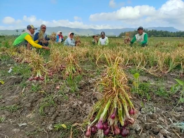 inflasi-jember-sangat-rendah-mengindikasikan-daya-beli-masyarakat-rendah