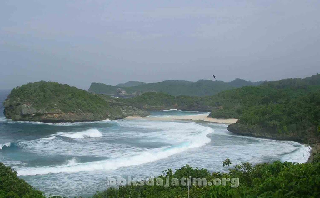 WACANA PULAU NUSA BARUNG DIJADIKAN DESTINASI WISATA, PEMERHATI LINGKUNGAN JEMBER ANGKAT SUARA