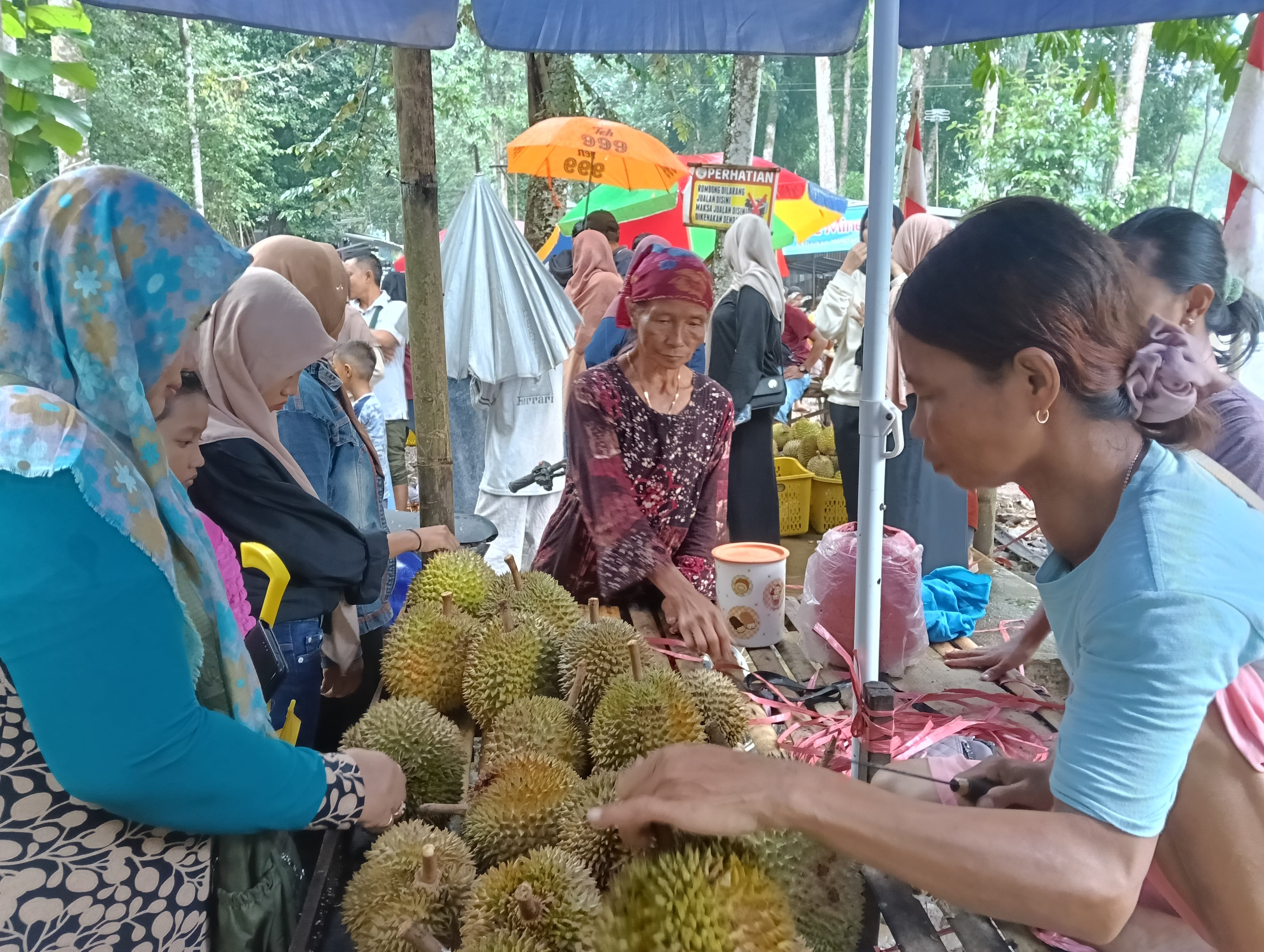 pengunjung-wisata-kampung-durian-membludak-di-tahun-baru