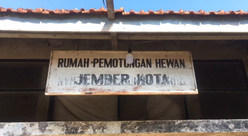 RPH KALIWATES ALAMI PENINGKATAN JUMLAH PENERIMAAN HEWAN KURBAN