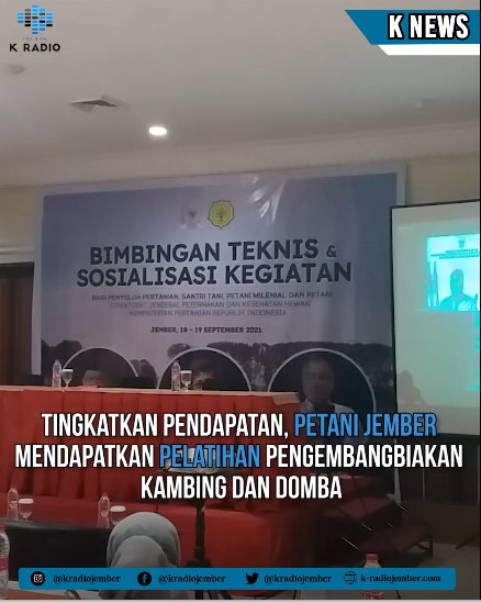 TINGKATKAN PENDAPATAN, PETANI JEMBER MENDAPATKAN PELATIHAN PENGEMBANGBIAKAN KAMBING DAN DOMBA.