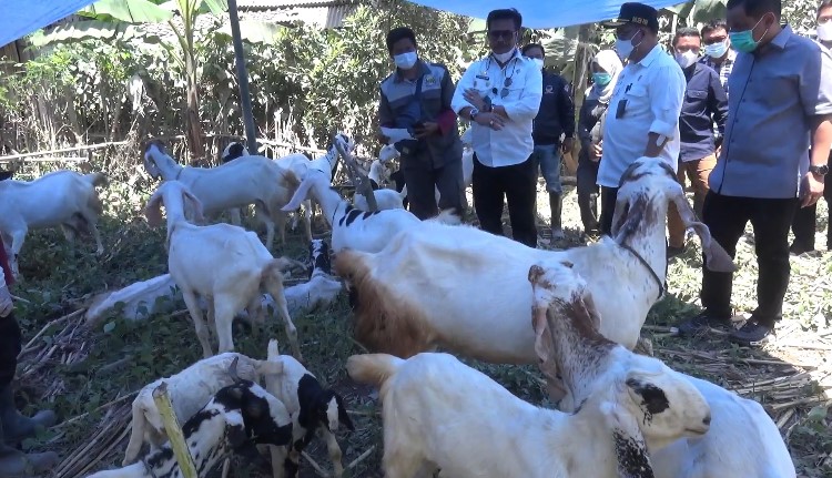 kementan-ri-fokus-selamatkan-binatang-dan-recovery-tumbuhan-pasca-apg-semeru