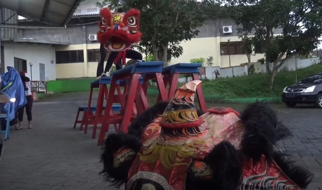 JELANG IMLEK, PAGUYUBAN BARONGSAI DI JEMBER TURUT TERDAMPAK PANDEMI