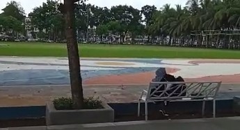 TIGA HARI BERTURUT-TURUT, SATPOL PP AMANKAN PASANGAN BERMESRAAN DI ALUN-ALUN JEMBER