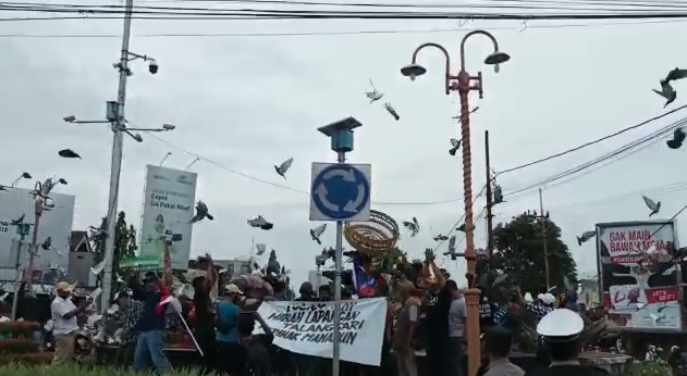 DEMO LAPANGAN TALANGSARI, MASSA LEPASKAN RATUSAN MERPATI DI BUNDARAN DPRD JEMBER