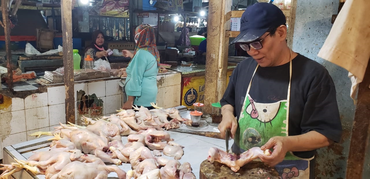 PERTENGAHAN DESEMBER 2020, HARGA AYAM MULAI MERANGKAK NAIK