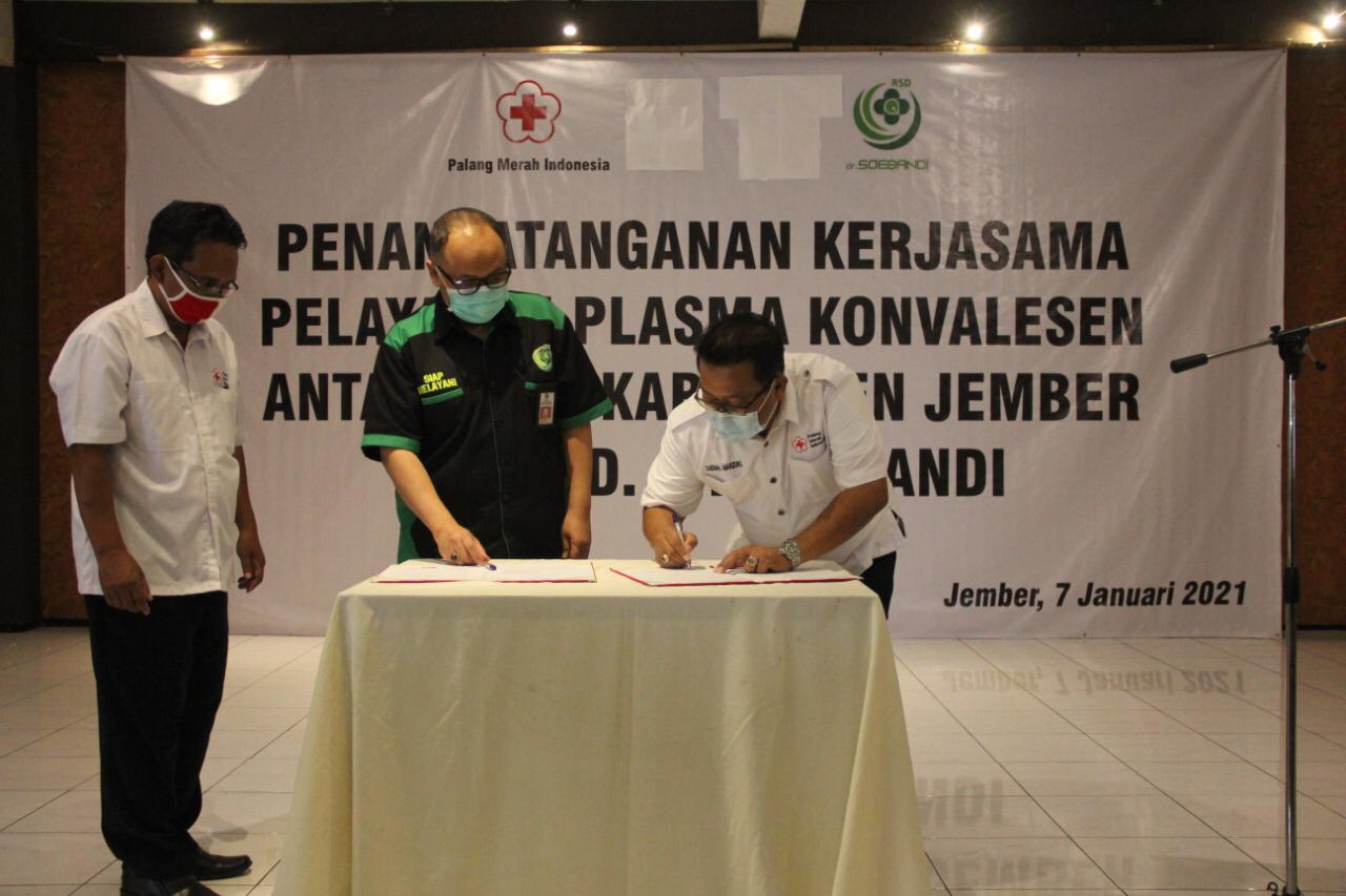 PMI JEMBER DAN RSD SOEBANDI KERJASAMA DALAM PELAYANAN PLASMA CONVALESCENT