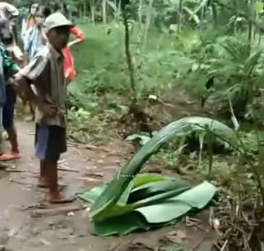 SESOSOK MAYAT BAYI DITEMUKAN WARGA BANGSALSARI DI PINGGIR SUNGAI