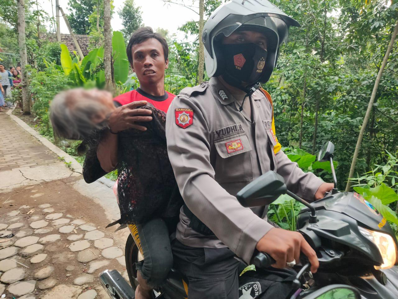 DITEMUKAN KRITIS, SEORANG NENEK DI KALISAT TERPEROSOK DARI ATAS BUKIT KEBUN KOPI