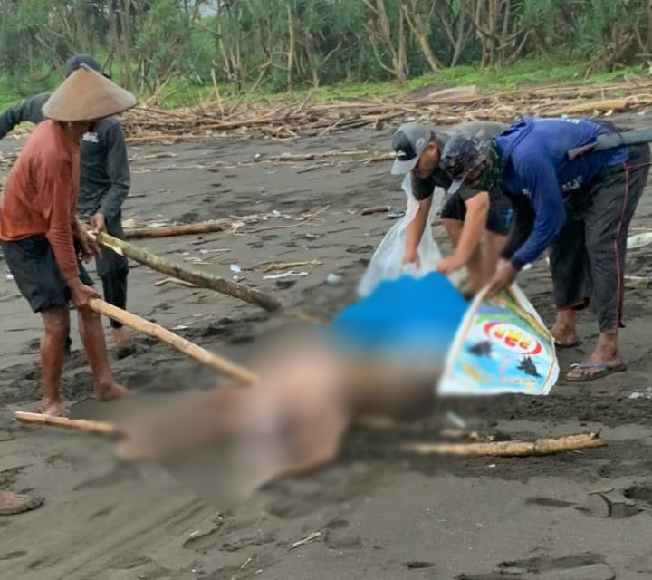 PRIA YANG LONCAT KE SUNGAI SEMPOLAN SILO, DITEMUKAN TEWAS DI PANTAI CANGA’AN AMBULU