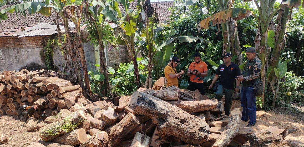 POLSEK LEDOKOMBO GREBEK RUMAH PELAKU ILLEGAL LOGGING, TEMUKAN RATUSAN BATANG KAYU CURIAN