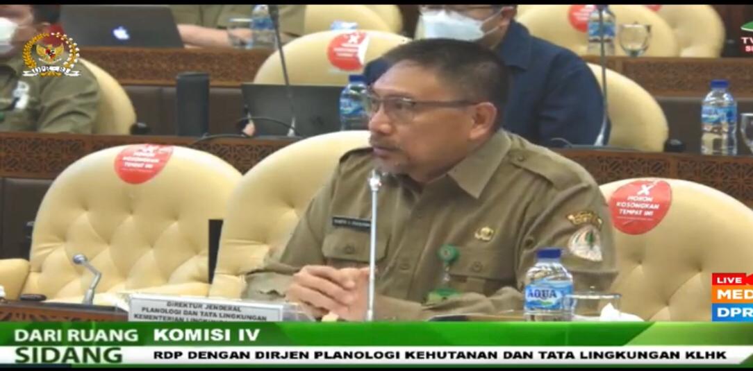 ADA 2,61 JUTA HEKTARE PERKEBUNAN SAWIT TAK BERIZIN DI KAWASAN HUTAN INDONESIA