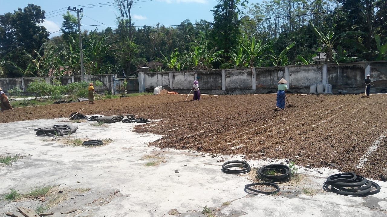 POPULARITASNYA KIAN MENINGKAT, TANTANGAN BAGI KOPI LOKAL UNTUK BERSAING