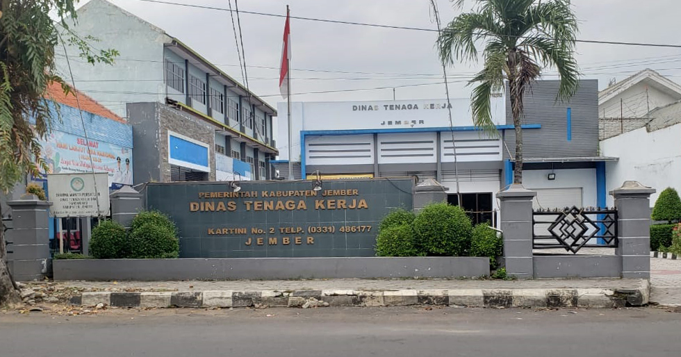 PERMINTAAN KARTU KUNING DI JEMBER MEMBLUDAK, DIDOMINASI LULUSAN SMA