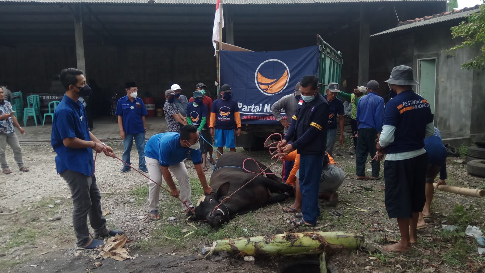 DPD NASDEM JEMBER SALURKAN KURBAN UNTUK MASYARAKAT TERDAMPAK COVID-19