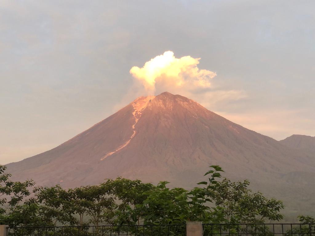 222-warga-terdampak-apg-semeru-mengungsi-di-jember