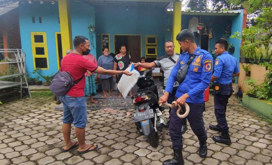 NEKAT EVAKUASI TANPA TUNGGU DAMKAR, 3 WARGA JEMBER TERKENA SEMBURAN ULAR COBRA