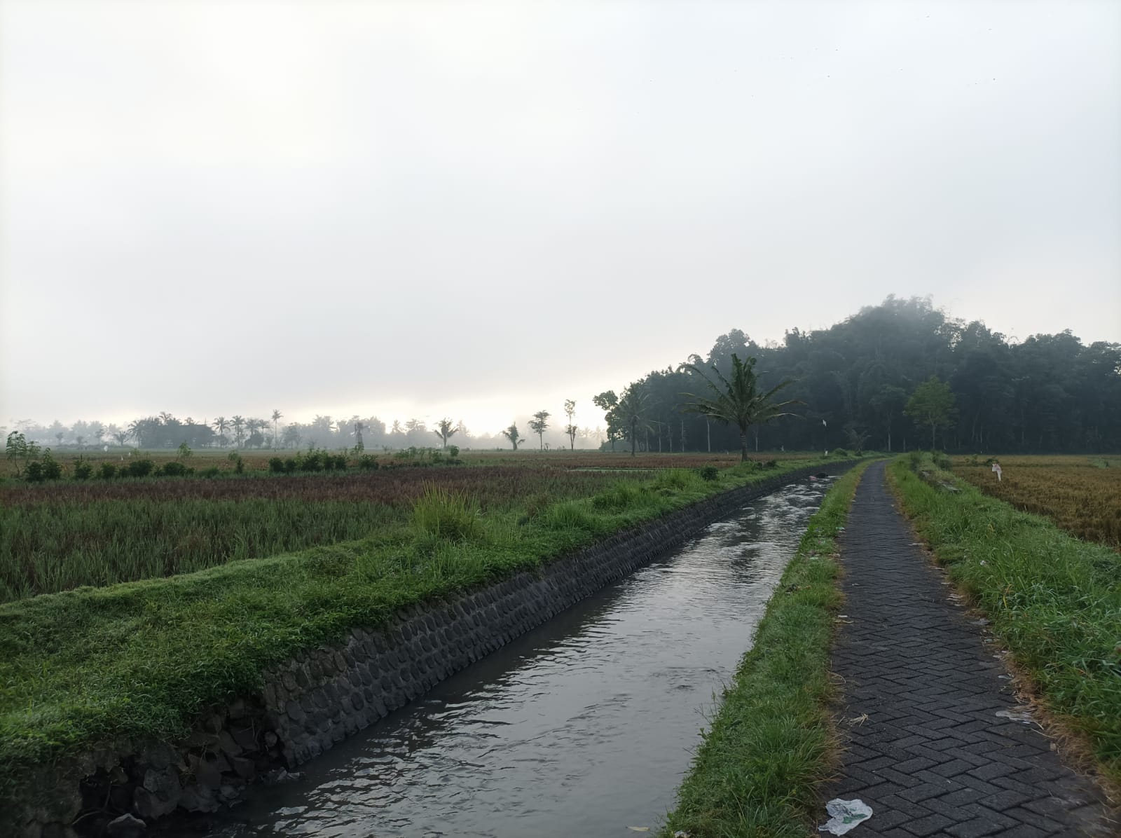 CEGAH BANJIR KIAN MEMBURUK, JEMBER HARUS SEGERA PUNYA KONSEP TATA RUANG YANG BAIK