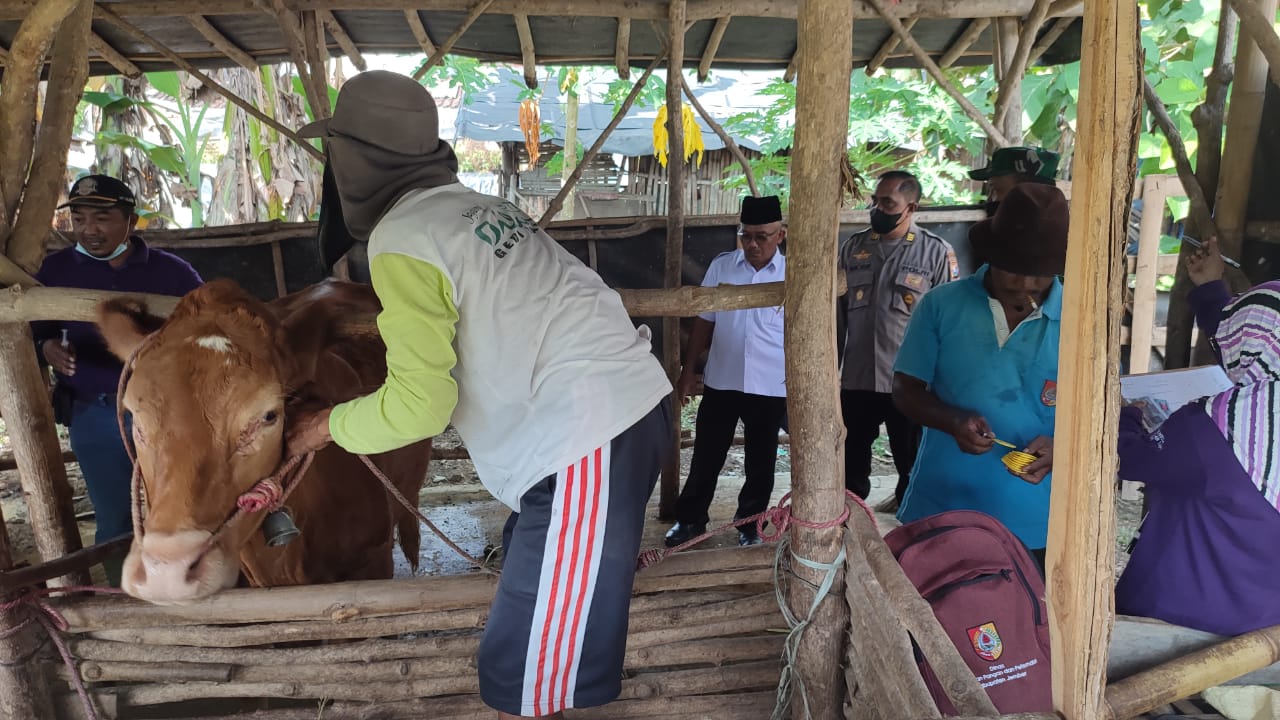 dukung-pemkab-jember-vaksinasi-pmk-polres-libatkan-bhabinkamtibmas