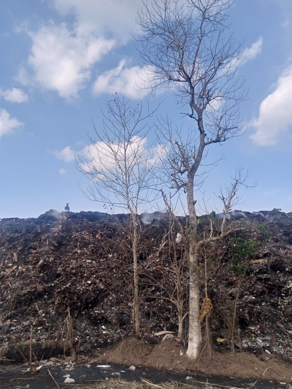 kebakaran-gunungan-sampah-di-tpa-pakusari-sulit-padam-hendy-akui-jember-belum-punya-nozel-tanam