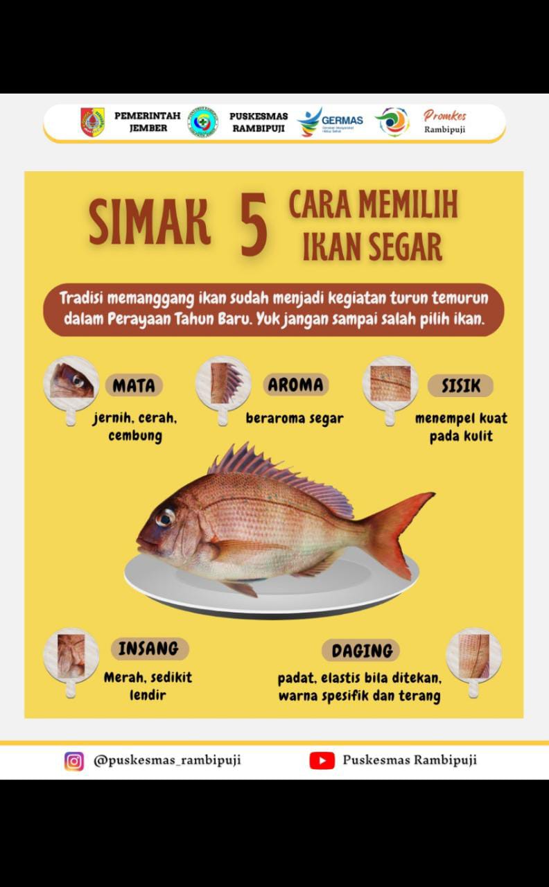 TRADISI BAKAR IKAN DI MALAM TAHUN BARU, DINKES JEMBER INGATKAN MASYARAKAT PILIH YANG SEGAR DAN BEBAS FORMALIN