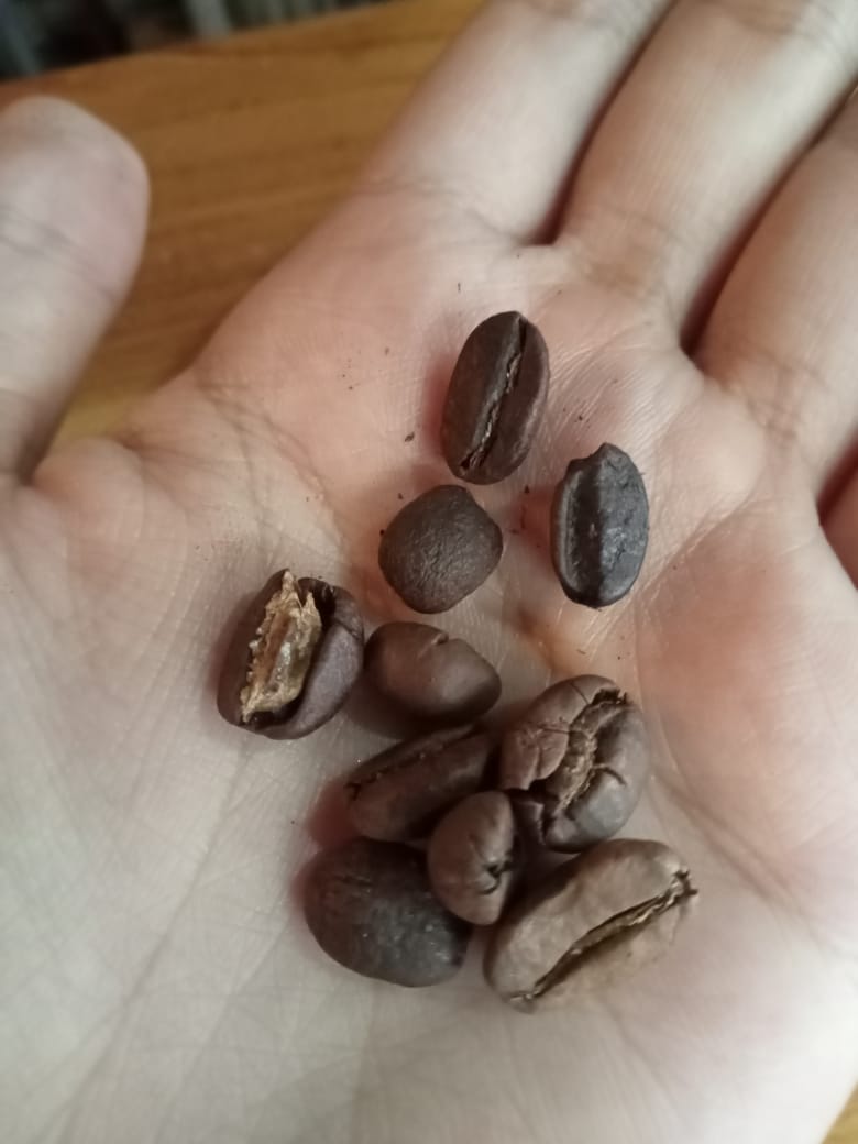 kopi-robusta-tanggul-kopi-lokal-jember-yang-bikin-nagih