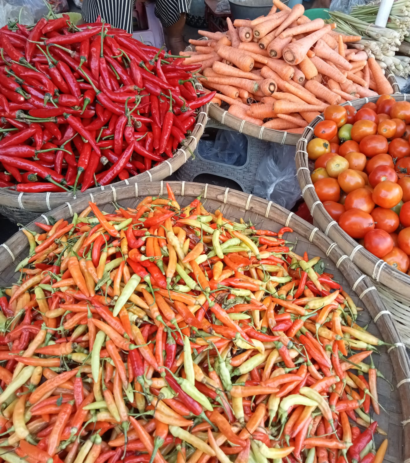 stok-cabai-di-jember-masih-di-suplai-dari-luar-daerah