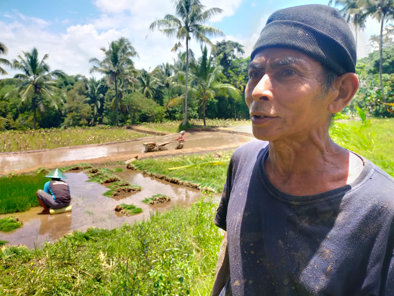 HARGA GABAH ANJLOK, HKTI MENGGANDENG PUSLANTANI UNTUK MEMPERJUANGKAN NASIB PETANI