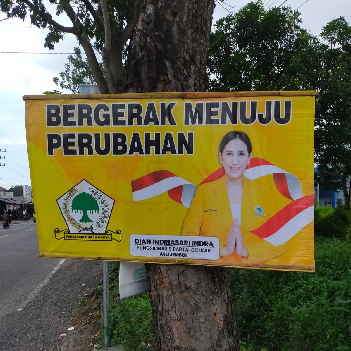 BANNER DIPAKU DI POHON, INI KATA WCDI JEMBER