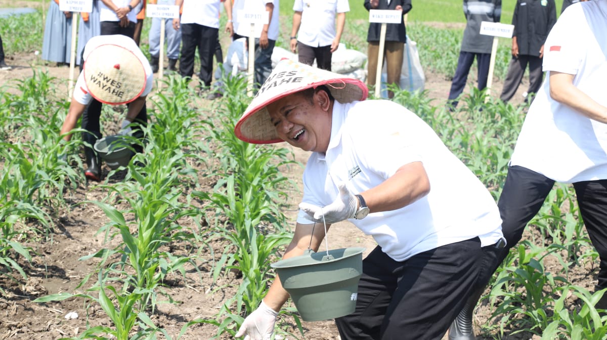 LANGKAH CERDAS BUPATI PIMPIN GERAKAN PEMUPUKAN ORGANIK SERENTAK DI JEMBER