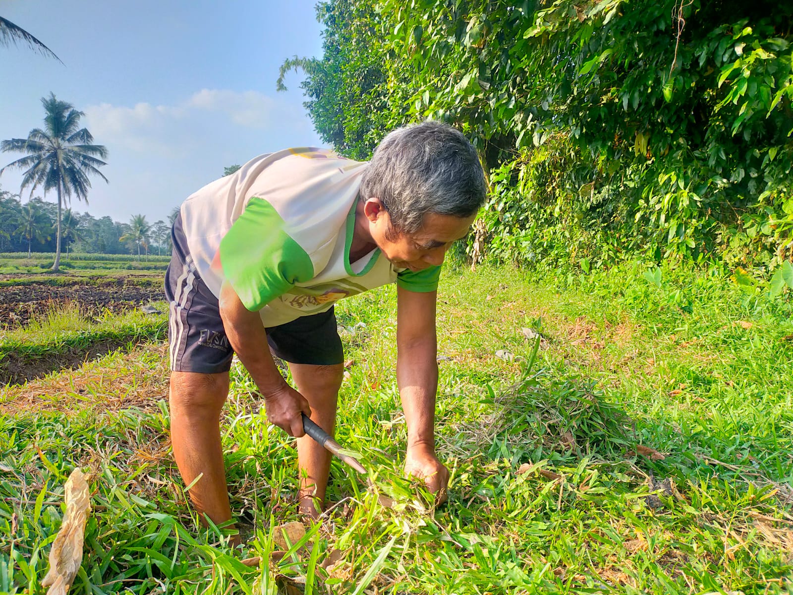 kisah-tukang-ngarit-sapi-asal-jember-bisa-naik-haji