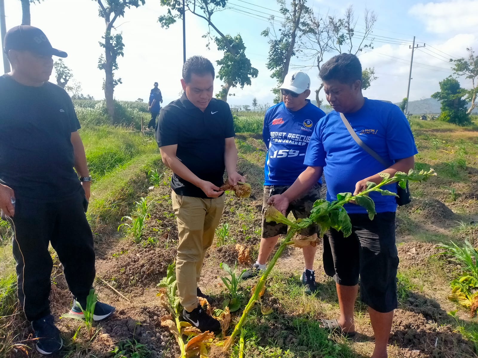 PETANI TEMBAKAU JEMBER RUGI Rp 1,2 MILIAR, KOMISI XI DPRRI DESAK MENTAN TURUN KE PETANI