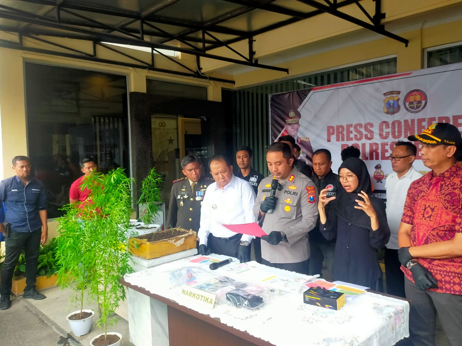 DITANAM DI RUMAH KOSONG, LIMA BATANG GANJA SIAP PANEN DITEMUKAN DI JEMBER