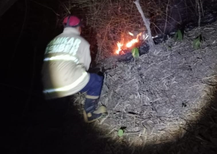 jelang-musim-penghujan-lahan-perhutani-di-jember-terbakar