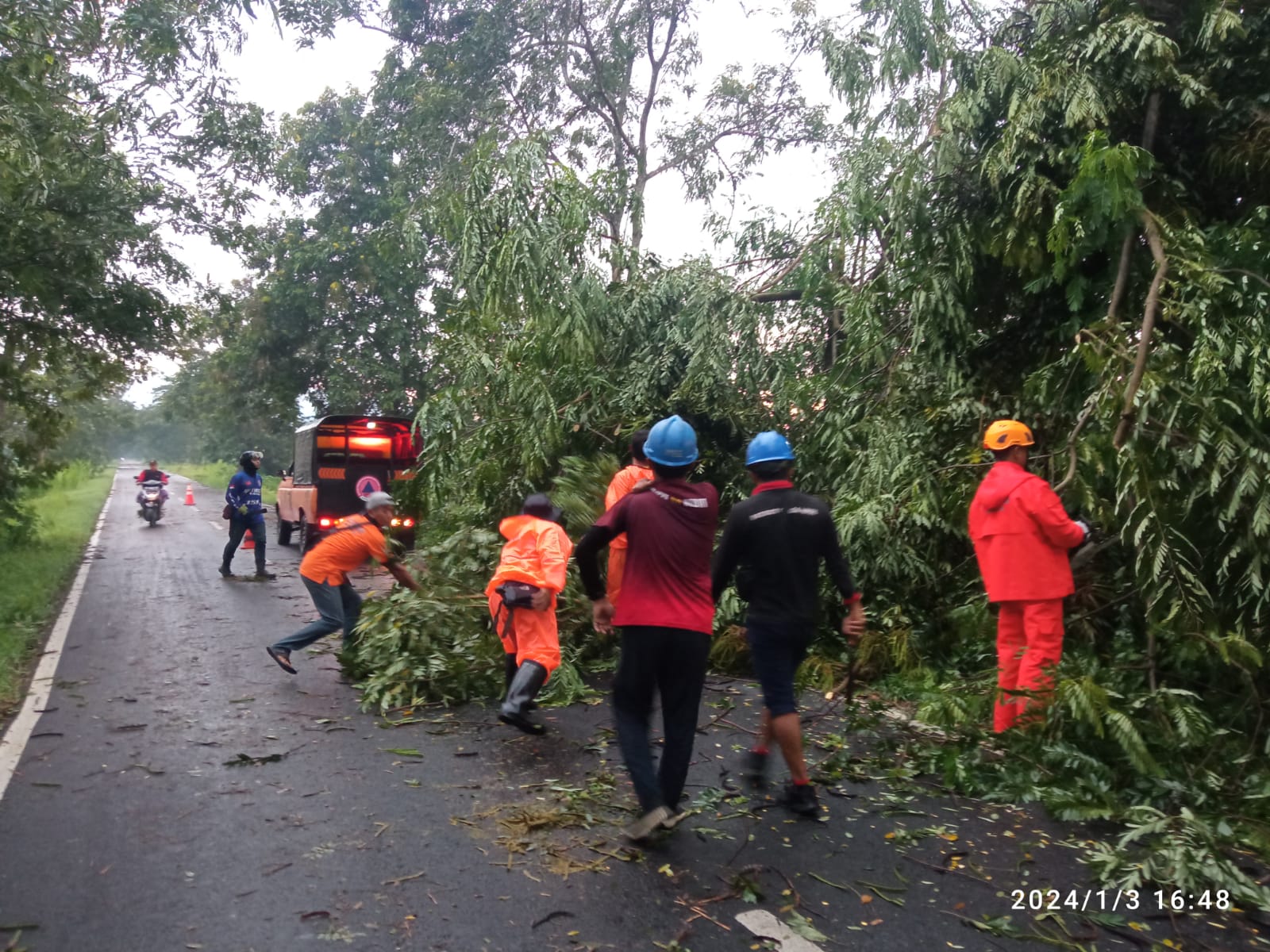 hujan-dan-angin-kencang-tumbangkan-23-pohon-di-6-kecamatan-satu-orang-jadi-korban