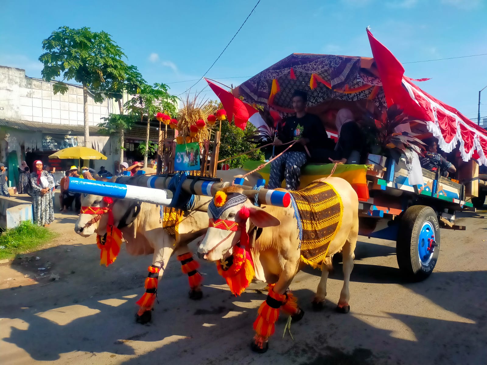 meriah-parade-pegon-watu-ulo-di-jember-tradisi-turun-temurun-di-bulan-syawal