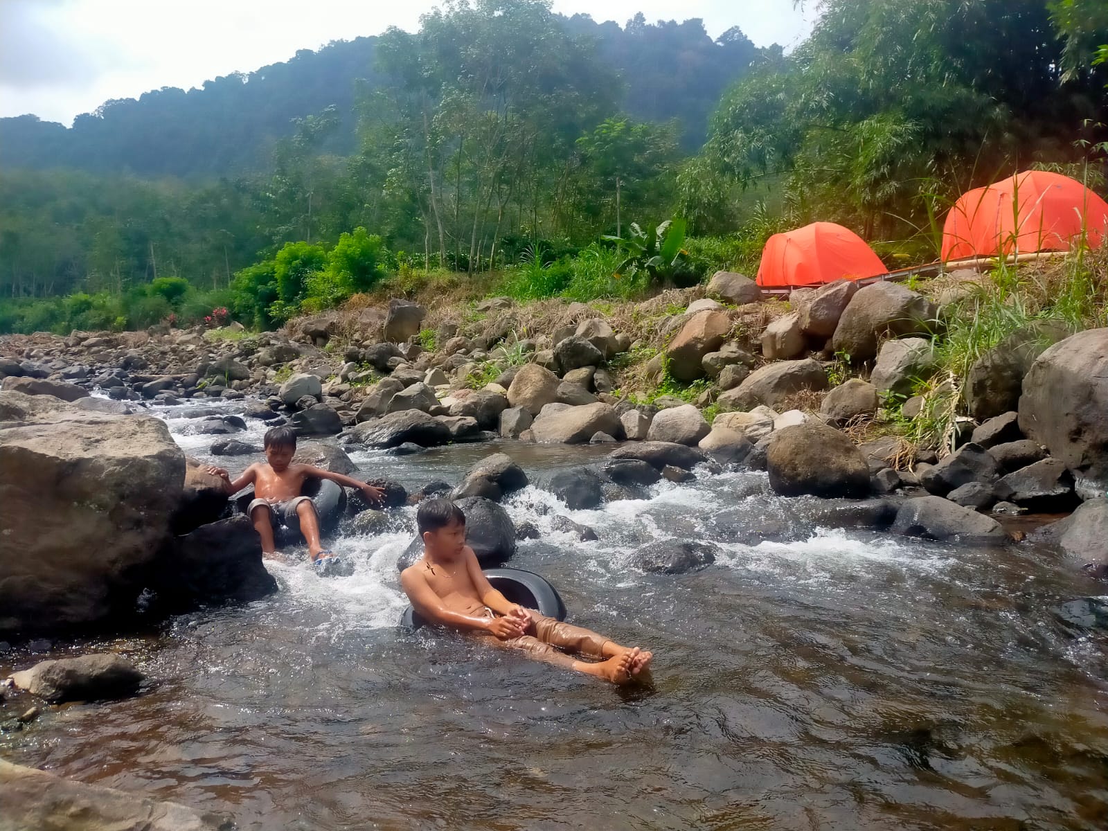 RIMBA CAMP, DESTINASI WISATA ALAM DI JEMBER TAWARKAN SUASANA BACK TO NATURE