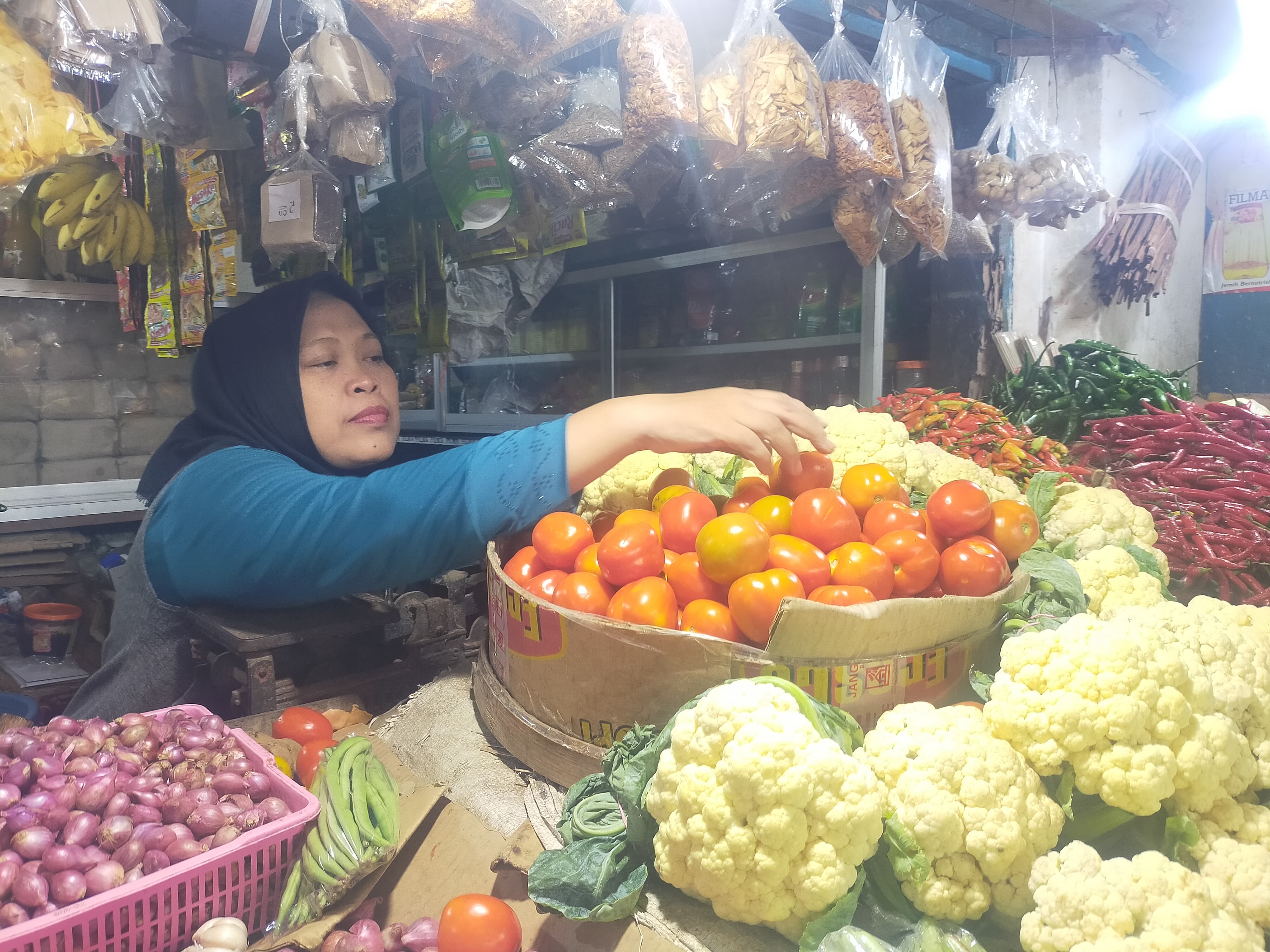 PRODUKTIVITAS TIDAK DIIMBANGI SERAPAN TINGGI, HARGA TOMAT DI JEMBER ANJLOK