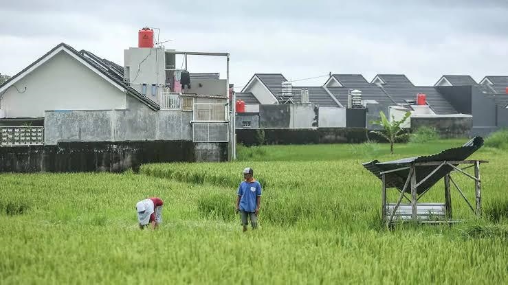 perda-rtrw-menjadi-solusi-dari-masalah-alihfungsi-lahan