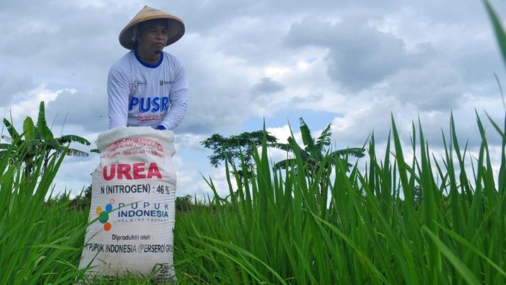 KOMISI B DPRD JEMBER: KELANGKAAN PUPUK BERIMBAS PADA TINGGINYA INFLASI 