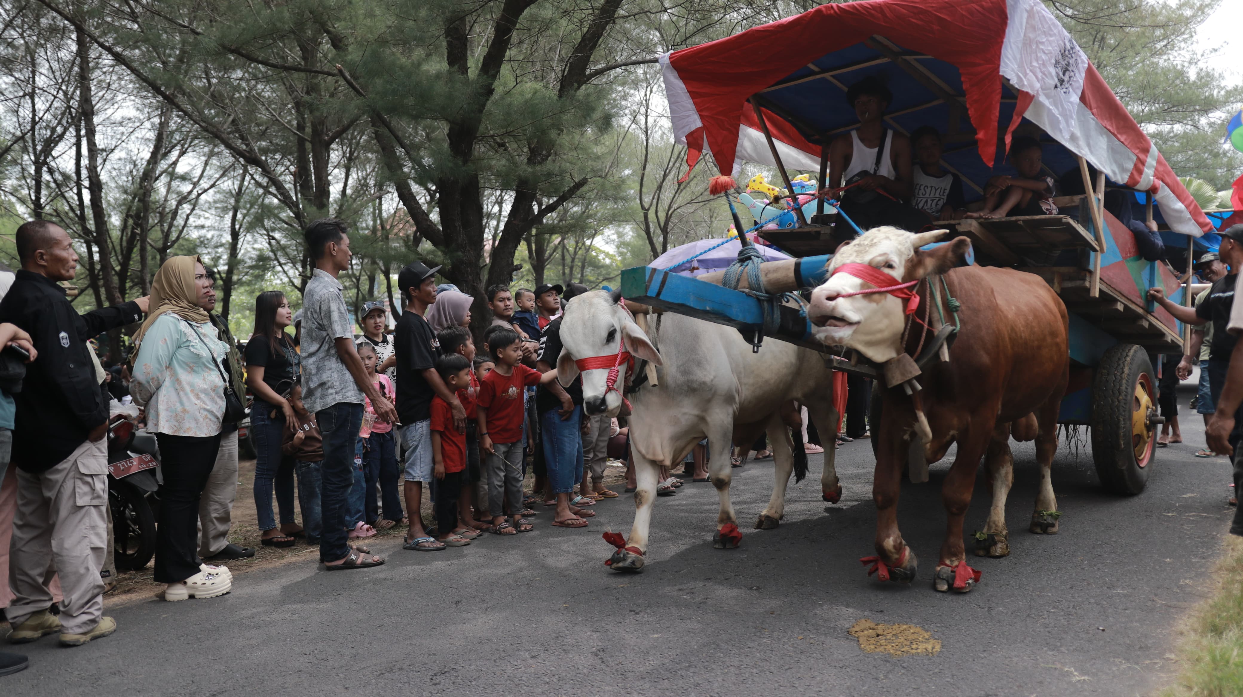 tradisi-pegon-meriahkan-lebaran-ketupat-di-pantai-watu-ulo