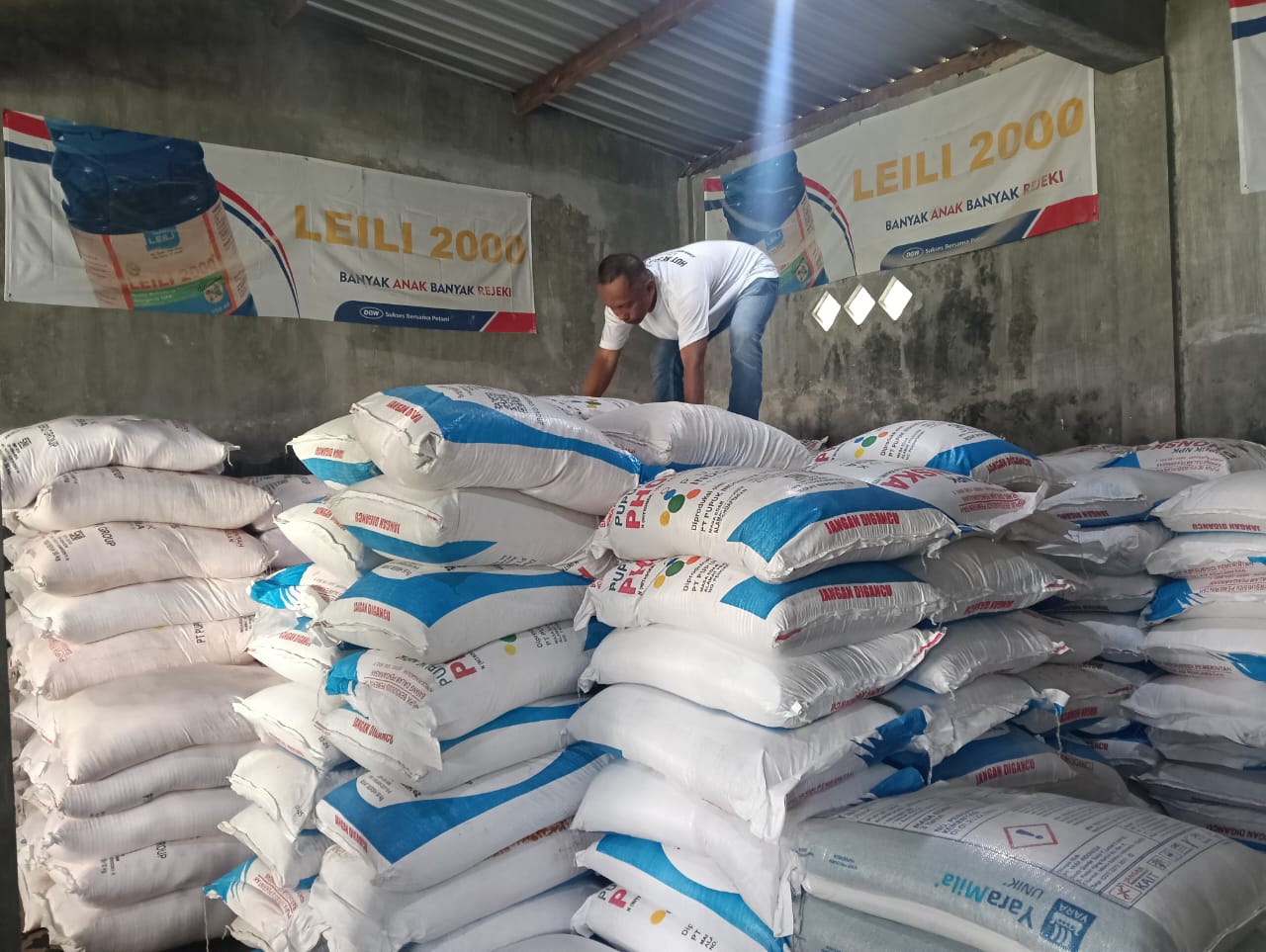 MASA TANAM DIMULAI, RATUSAN PETANI JEMBER BELUM TERDATA RDKK PUPUK