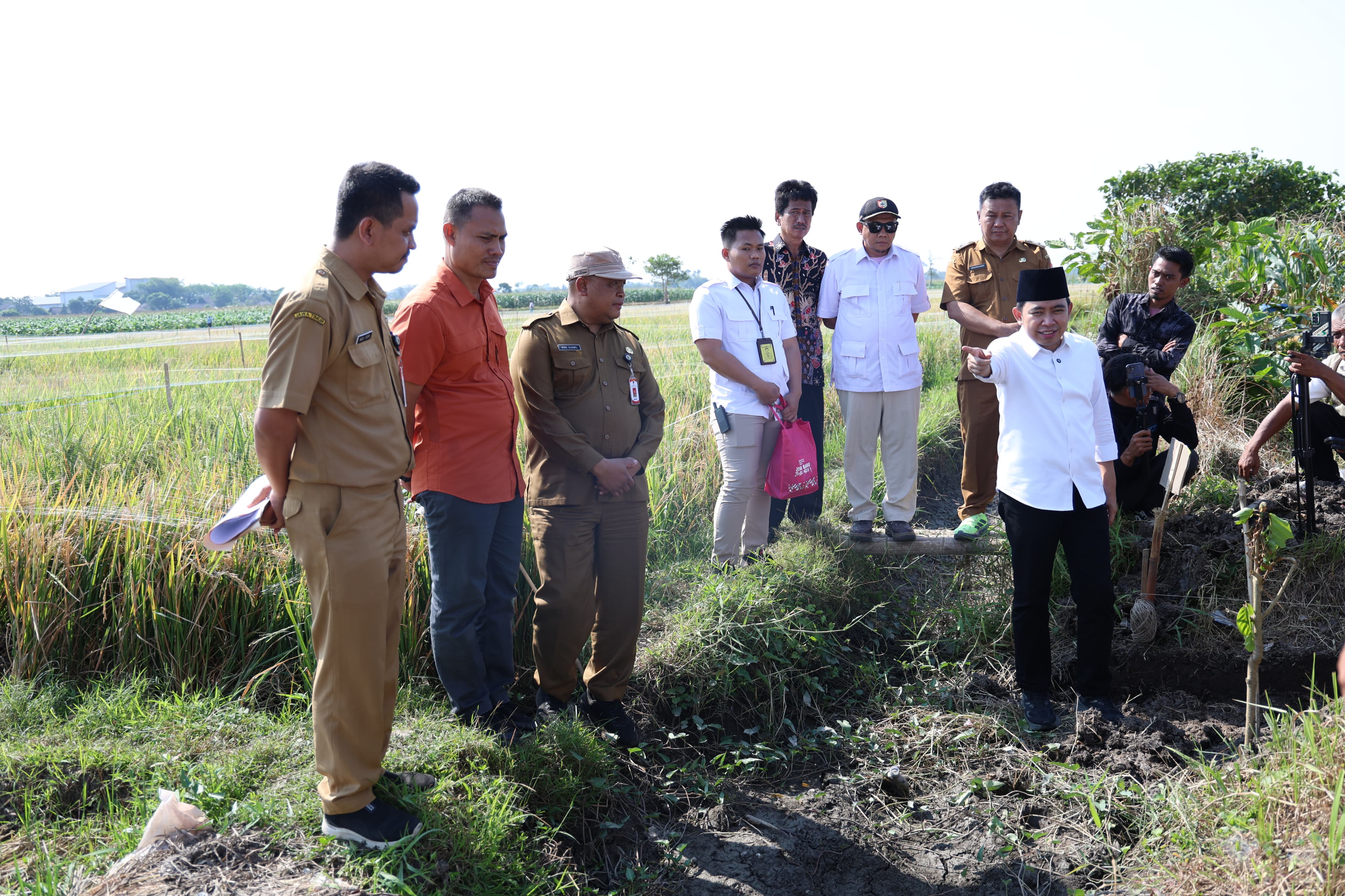 Rp312 MILIAR DIGELONTORKAN, JEMBER GENJOT PERTANIAN DENGAN IRIGASI DAN OPTIMALISASI LAHAN 7.070 HEKTARE