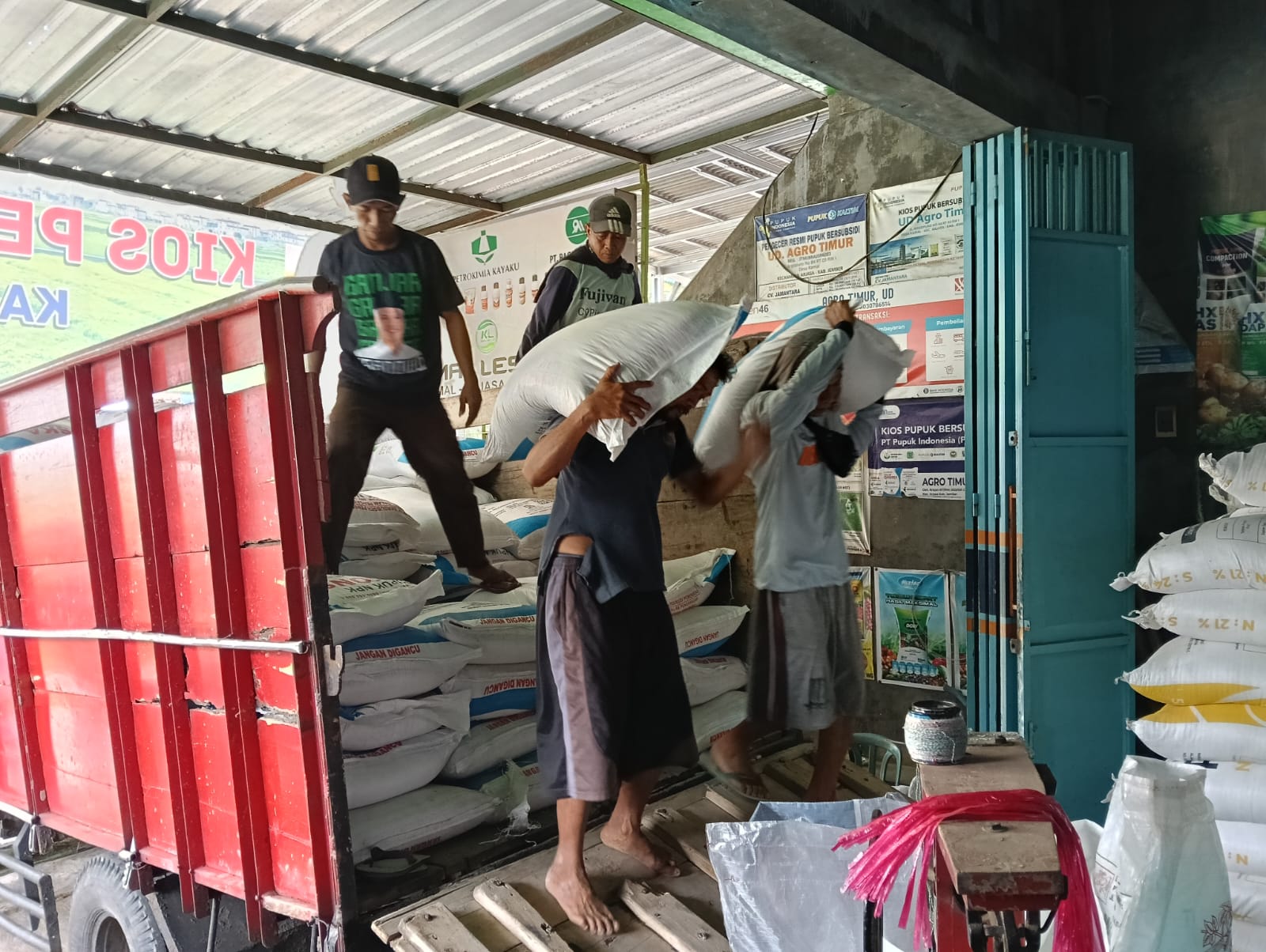 minat-petani-rendah-serapan-pupuk-organik-di-jember-belum-optimal