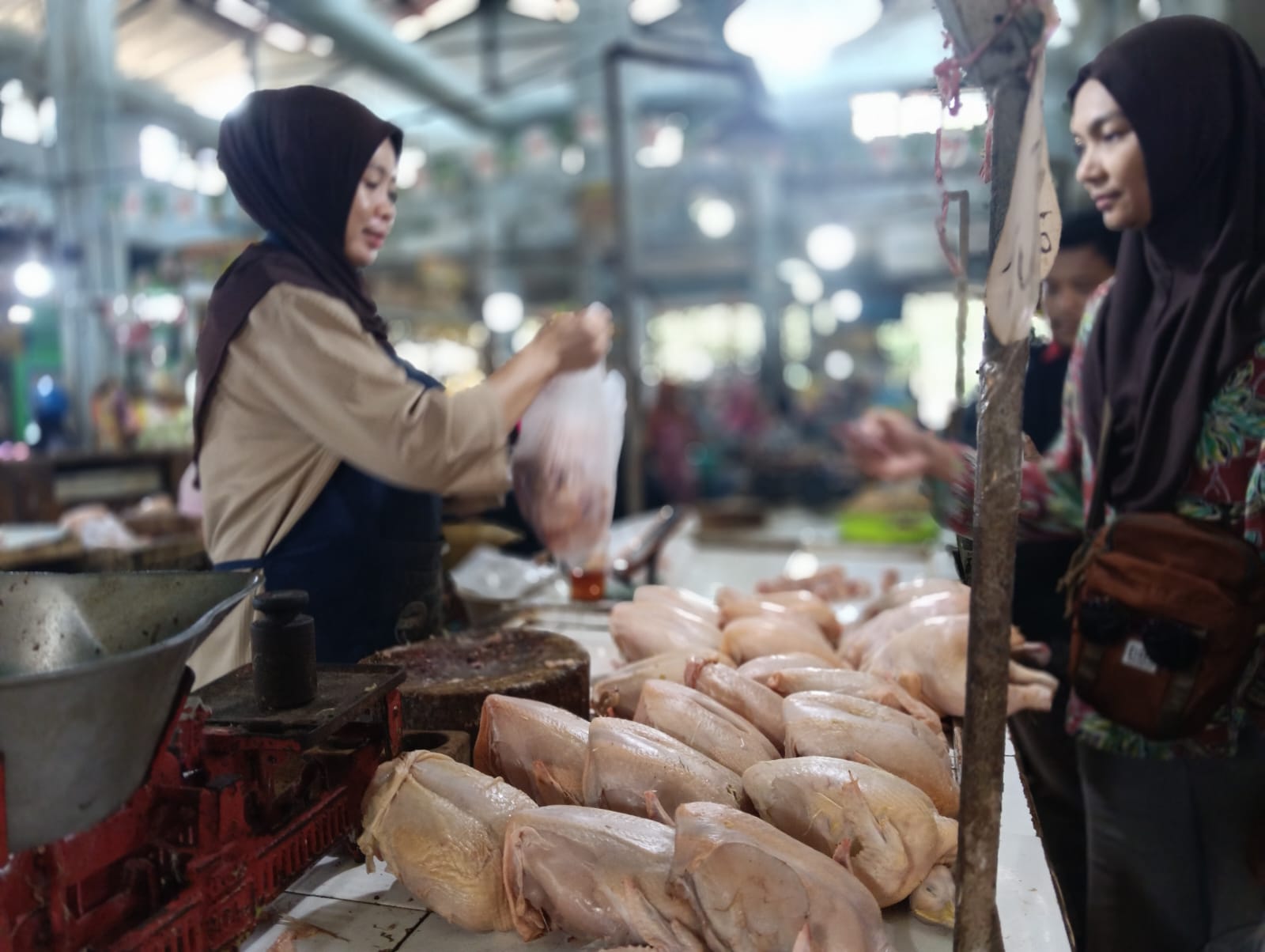 HARGA AYAM TIBA-TIBA MELONJAK, PEDAGANG PASAR TANJUNG JEMBER MENGELUH PEMBELI MULAI MENGHILANG